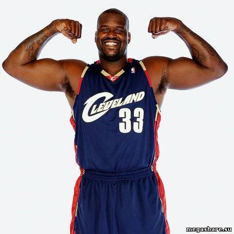 Лучшие баскетболисты мира.Часть 5 Shaquille O'Neal 0335724